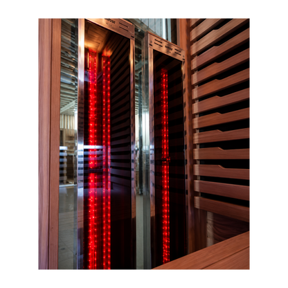 Demfin 6 Person Hybrid Traditional & Infrared Outdoor Sauna